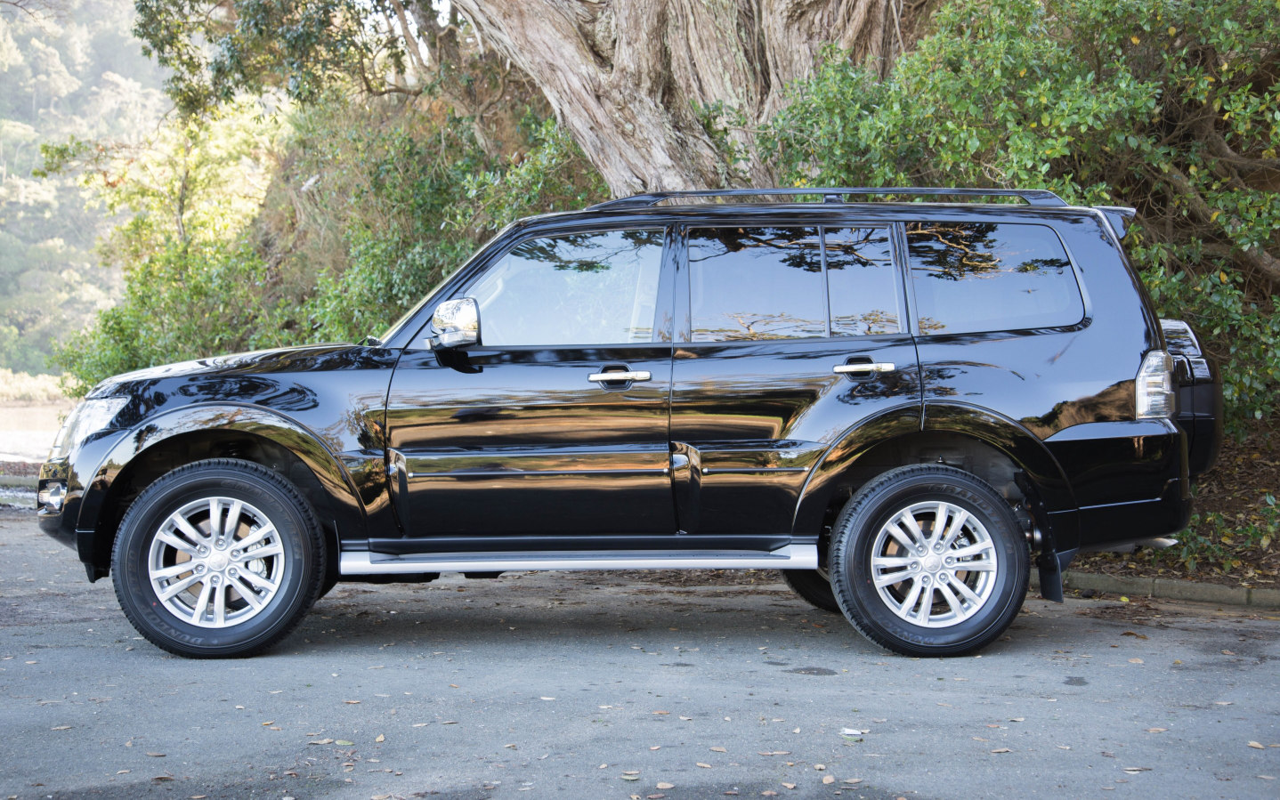 RC Hill Mitsubishi visual data 4